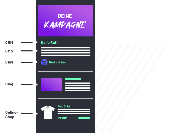Newsletter-Layout mit lila Kopfzeile 'DEINE KAMPAGNE', Begrüßung, Autorname und Polo-Shirt mit Preis